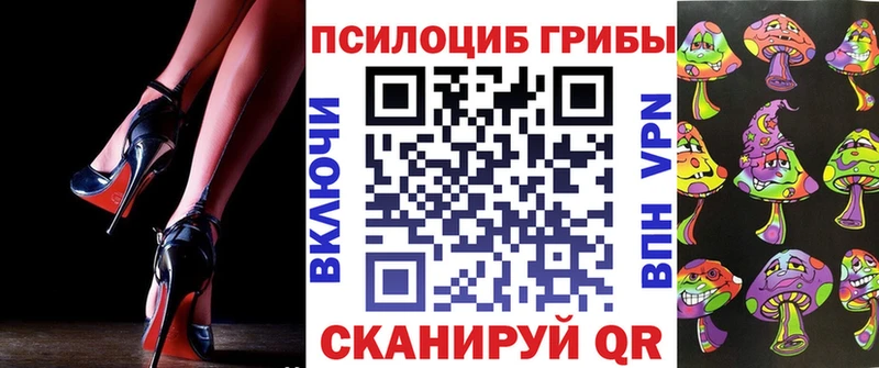 купить наркоту Княгинино Галлюциногенные грибы Psilocybine cubensis